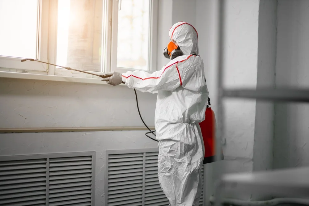 Professional mold remediation services in Atco, NJ